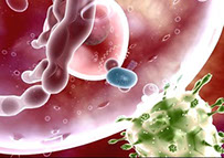 Организация генподрядчик Витебск