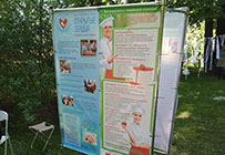 Организация генподрядчик Витебск