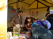 Организация генподрядчик Витебск