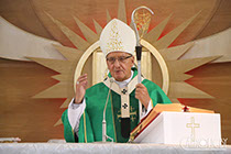 Организация генподрядчик Витебск