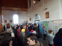 Организация генподрядчик Витебск
