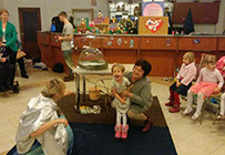 Организация генподрядчик Витебск