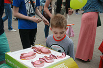 Организация генподрядчик Витебск