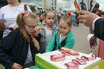 Организация генподрядчик Витебск