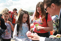 Организация генподрядчик Витебск