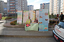 Организация генподрядчик Витебск