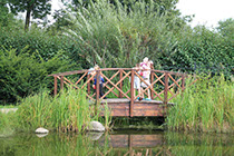 Организация генподрядчик Витебск