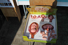 Организация генподрядчик Витебск