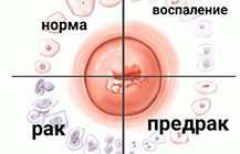 Организация генподрядчик Витебск
