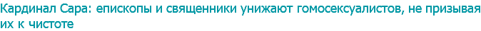 Кардинал Сара: епископы и священники унижают гомосексуалистов, не призывая их к чистоте